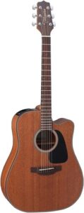 Takamine GD11