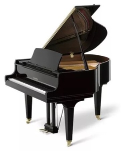 Melhores Pianos Do Mundo