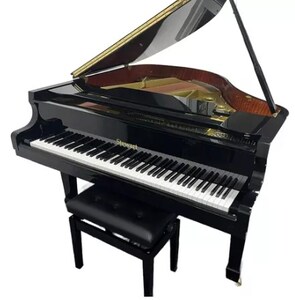 Melhores Pianos Do Mundo