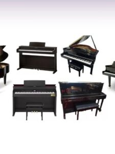 Melhores Pianos Do Mundo